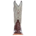thumbnail image 4 of Ferrini Womens  Women`s  Caiman Print-12in Choc 6.5 D Sport Rust, 4 of 5