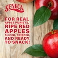 thumbnail image 6 of Original Apple Chips | Made from Fresh 100% Red Delicious Apples | Yakima Valley Orchards | Seasonally Picked | Crisped Apple Perfection | Foil-Lined Freshness Bag | 2.5 Ounce, 6 of 15