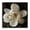Rustic Magnolia Floral Collage, variant on Stupell Industries Glam Rustic Patterned Magnolia Black Floating Frame Canvas Art, 18 x 18, by John Seba