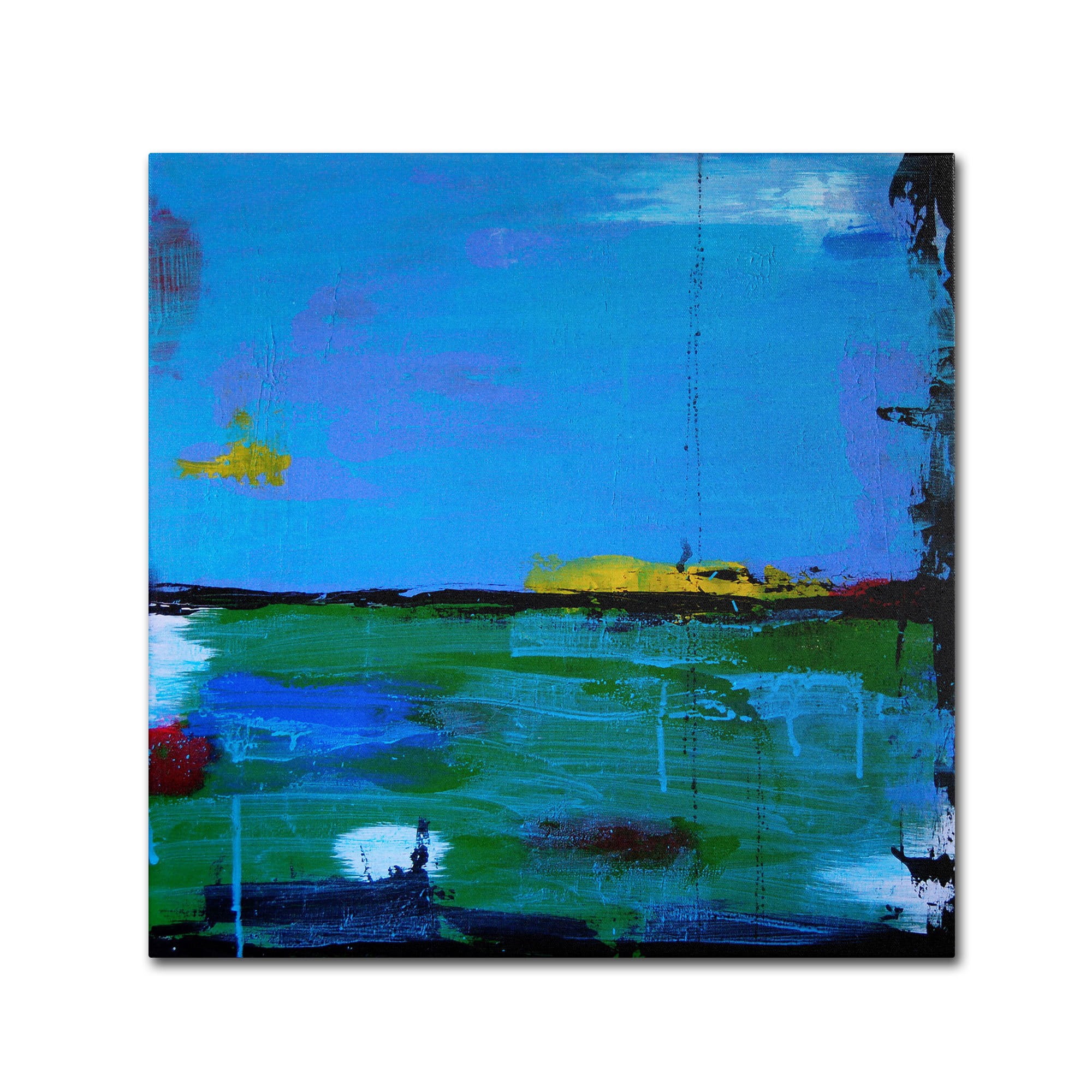 Trademark Fine Art "Sunrise" Canvas Art by Nicole Dietz