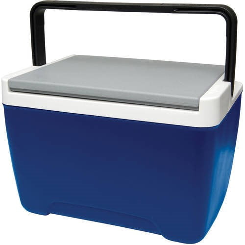igloo 9 quart cooler blue