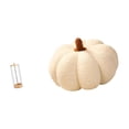 thumbnail image 6 of Dualoai Reusable Transparent Straw Organizer and Holder for Counter Makeup Brushes Bar with Halloween Pumpkin Plush Decorative Sofa Cushion for Bed Bedroom Room Decor, 6 of 8