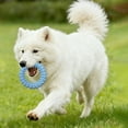 thumbnail image 4 of BotaniNest TPR Chew For And Puppies Molar For Teeth Cleaning And Boredom Easy To Clean Interactive For Training And Play, 4 of 4