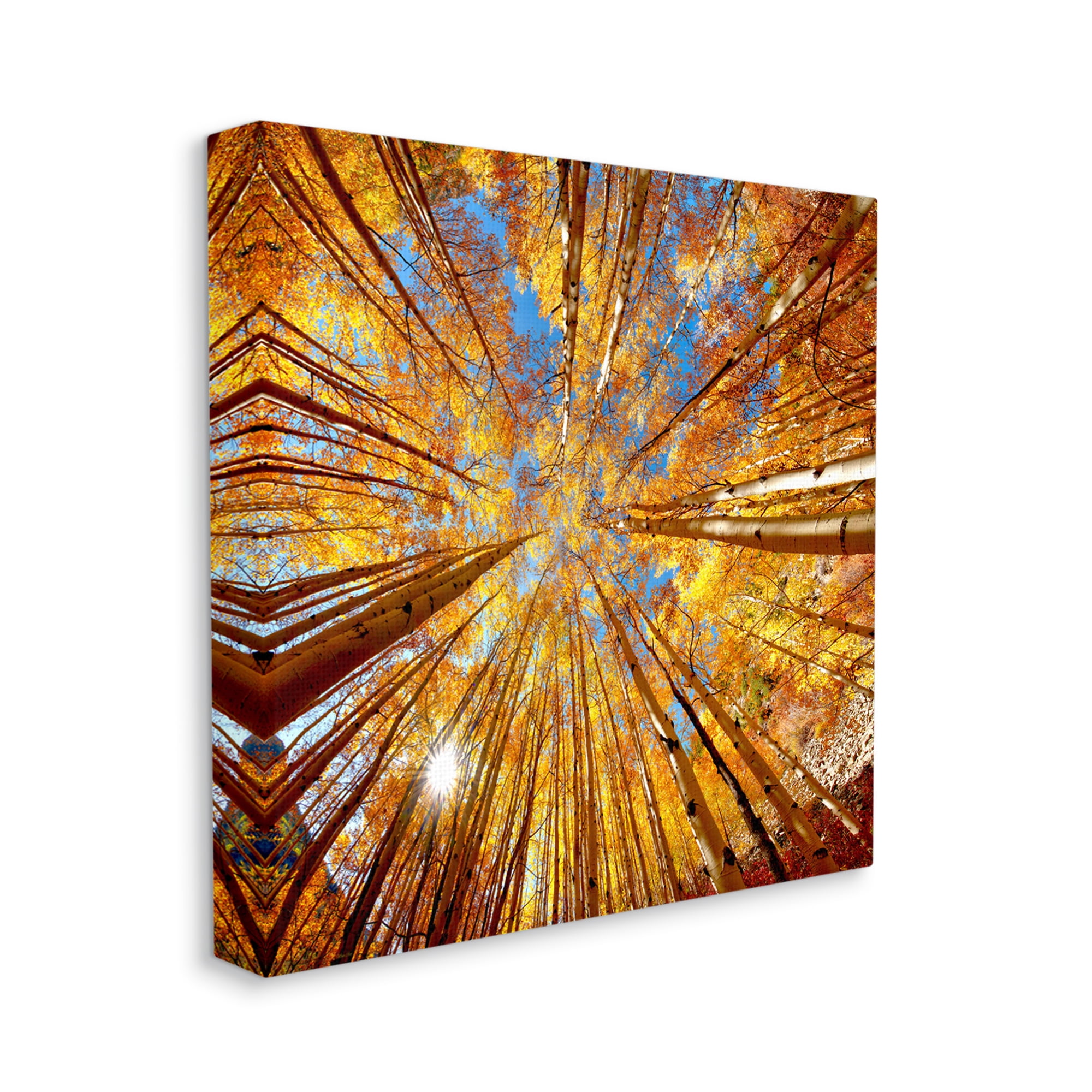 Stupell Industries Colorado Autumn Trees Nature Photography Gallery Wrapped Canvas Print Wall Art, 36 x 36