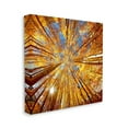 thumbnail image 3 of Stupell Industries Colorado Autumn Trees Nature Photography Gallery Wrapped Canvas Print Wall Art, 36 x 36, 3 of 7