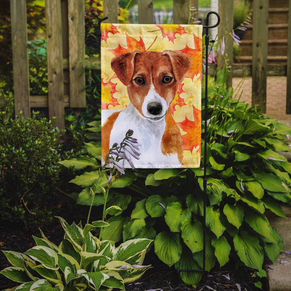 Carolines Treasures BB9950GF Jack Russell Terrier Fall Flag Garden Size  Small multicolor
