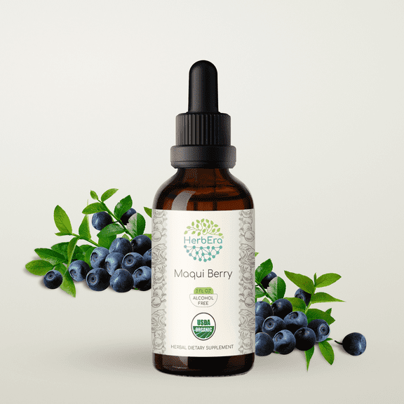 HerbEra Maqui Berry Tincture, Organic Herbal Dietary Supplement for Antioxidant Support, Certified Organic Maqui Berry (Aristotelia chilensis) Dried Berry Extract, Natural, Alcohol-Free, Drops 2 oz