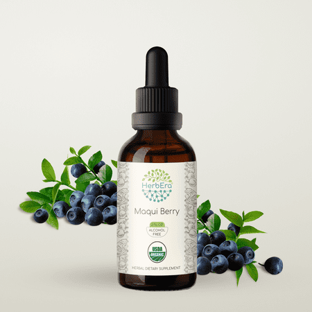 HerbEra Maqui Berry Tincture, Organic Herbal Dietary Supplement for Antioxidant Support, Certified Organic Maqui Berry (Aristotelia chilensis) Dried Berry Extract, Natural, Alcohol-Free, Drops 2 oz