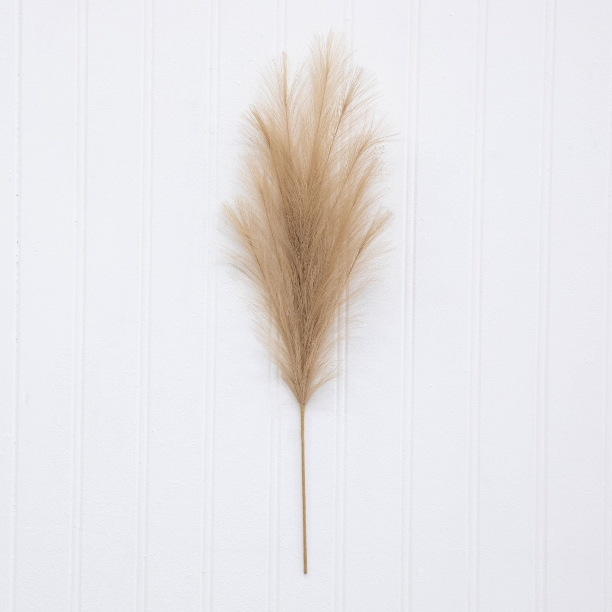 Better Homes & Gardens 34"H Artificial Indoor Pampas Feathered Stem