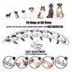thumbnail image 2 of Collar De Perro Jantopet Con Cadena Ajustable Para Perros Pe, 2 of 7