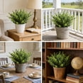 thumbnail image 5 of Artificial Eucalyptus Money Leaf Stems 12 Pack 12 Inch, Fake Green Plant for Home Wedding Decor, Plastic Dollar Eucalyptus Branches for Bouquet, Greenery Garland for Indoor Outdoor Party Arrangement, 5 of 7