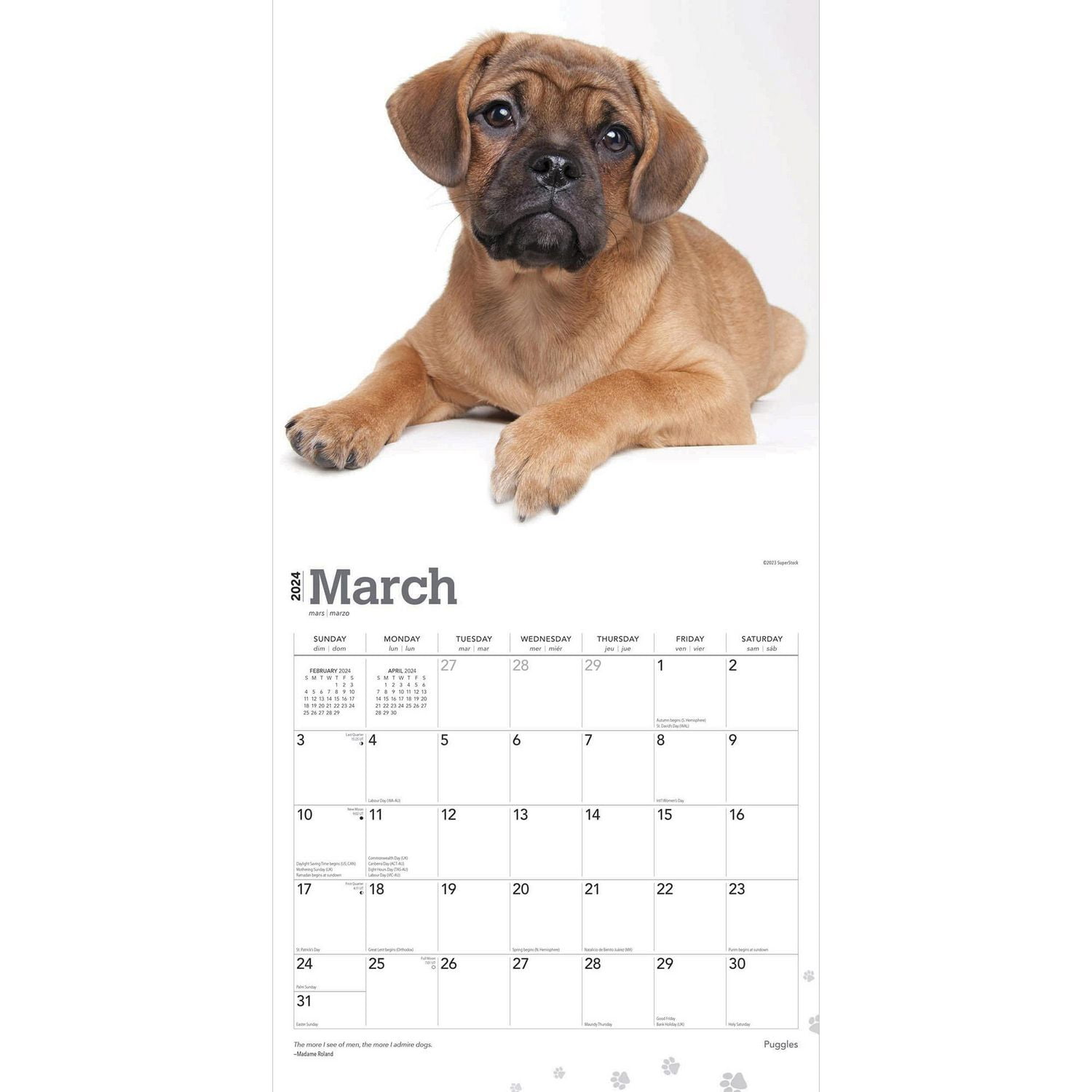 BrownTrout Puggles 2024 Mur Carré 30.48x60.96 CM, 9781975464677