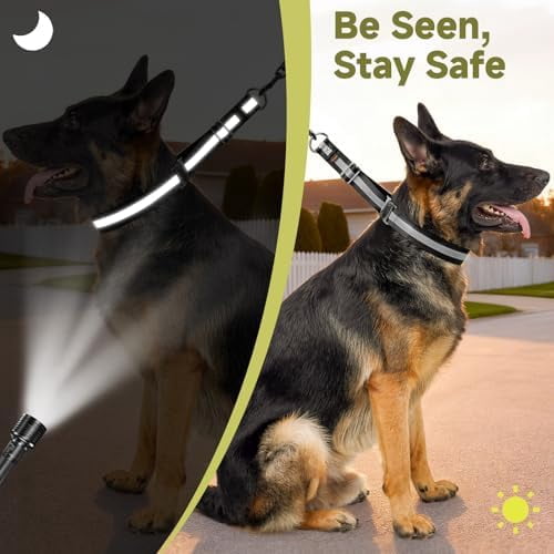 Martingale No Pull Collar for Large Medium Dogs, Patented Dog Walking Training Collar for Pulling, 1.5'' Wide Alloy Buckle, Neoprene Padded, Adjustable, Reflective, Easy to Use(L, Black)