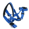 thumbnail image 3 of Collier de Tête de Chien, Conception Humanisée Harnais de Tête de Chien Soulagement de Pression Réglable Sangle Respirante pour l'Extérieur Orange, Bleu, Rouge, 3 of 8
