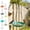🔥 Multicolor, variant on Msgweeeg Small Bird Feeder Bird Feeders for Outdoors Hanging Bird Feeder Hummingbirds Feeder Water Feeder Outdoor Hanging Bird Feeder Random Color