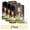 Light Brown, variant on (3 pack) Herbishh Light Brown PPD-Free Hair Color Shampoo for Gray Hair, Hair Dye Shampoo 3 in 1, 100% Gray Coverage, Permanent Hair Color for Men & Women, Ammonia-free, 400 ml