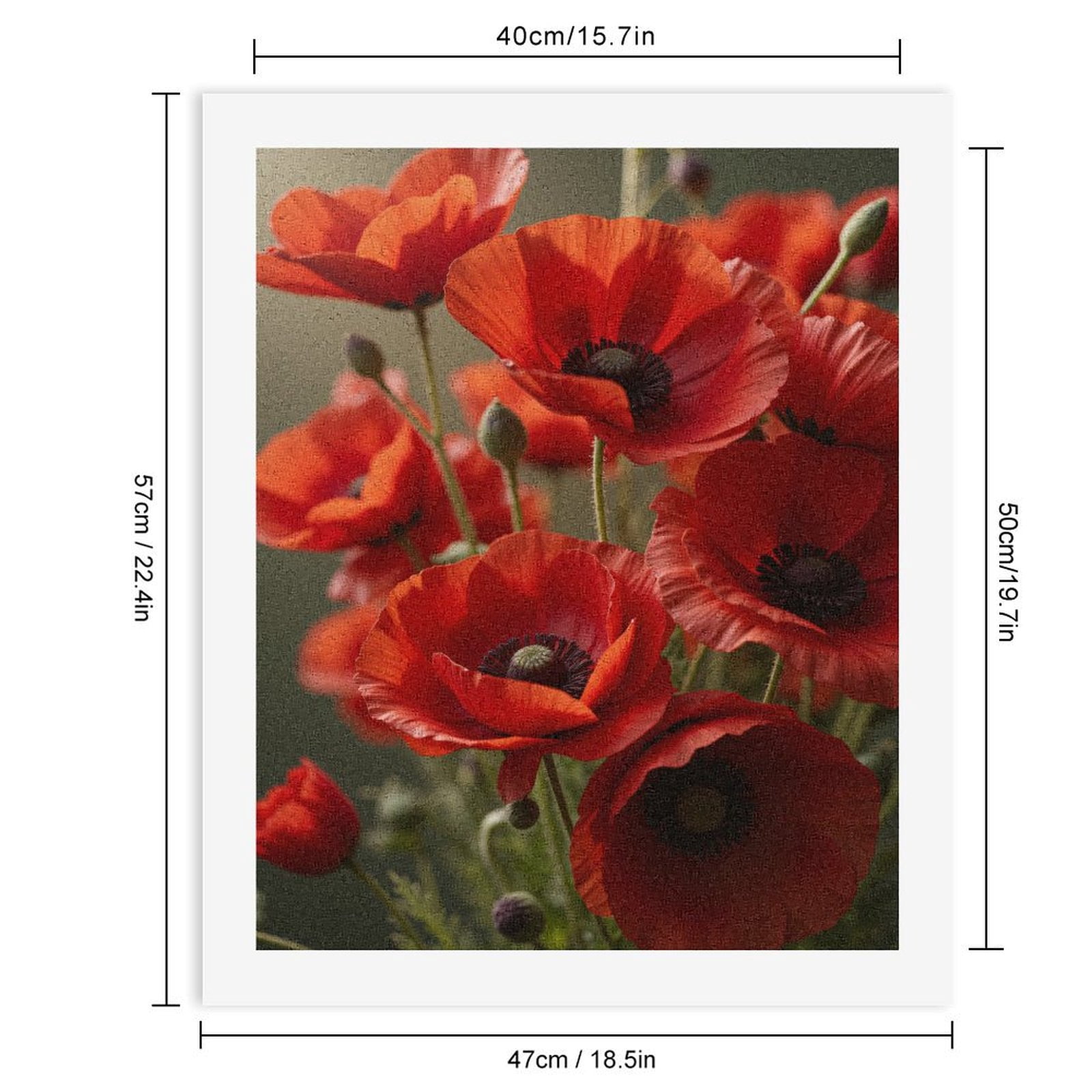 Paint by Numbers Kit for Adults, Bright Red Poppy Blossoms Paint by Numbers, Easy Paint by Numbers Kit for Adults Beginner, DIY Adult Paint by Number Kits on Canvas, 12x16in Home Decor