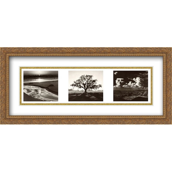 Trilogy 2x Matted 40x16 Large Gold Ornate Framed Art Print by Ansel Adams