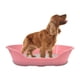 thumbnail image 1 of KE WOOW Cama Chica para Perro, Gato, Conejo y otras Mascotas, Cesta de Plástico, Incluye Colchón doble cara, Color Rosa KE WOOW Cama Plana con colchón Chica, 1 of 10