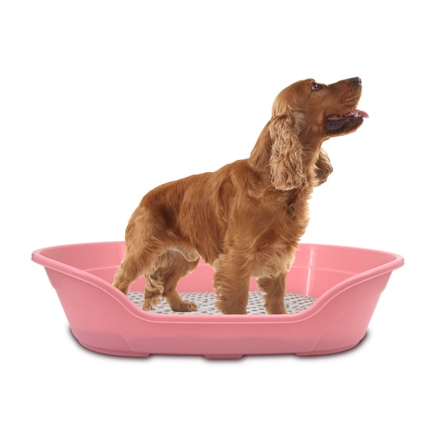 KE WOOW Cama Chica para Perro, Gato, Conejo y otras Mascotas, Cesta de Plástico, Incluye Colchón doble cara, Color Rosa KE WOOW Cama Plana con colchón Chica