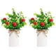 thumbnail image 4 of Plantas artificiales de limón Monstrate 2 uds de plástico para decoración interior o exterior manzanas pequeñas, 4 of 6