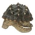 thumbnail image 3 of Hi-Line Gifts 10.5" Snapping Turtle Outdoor Garden Statue, 3 of 4