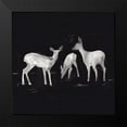 thumbnail image 2 of Green, Jacob 12x12 Black Modern Framed Museum Art Print Titled - Sophisticated Whitetail I, 2 of 5
