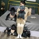 thumbnail image 4 of Battle of King Kong Plush Doll, Plush Toy, Game Plush Toy for Children and Adults Birthday Gifts for Friends Fans Holiday Gifts(Godzilla 25cm), 4 of 5