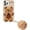 Bear Khaki Hairball, variant on Case Compatible with iPhone XR Kawaii Phone Cases Creative Cartoon Bear iPhone Case Cute Shockproof Protective Case Cover with Keychain