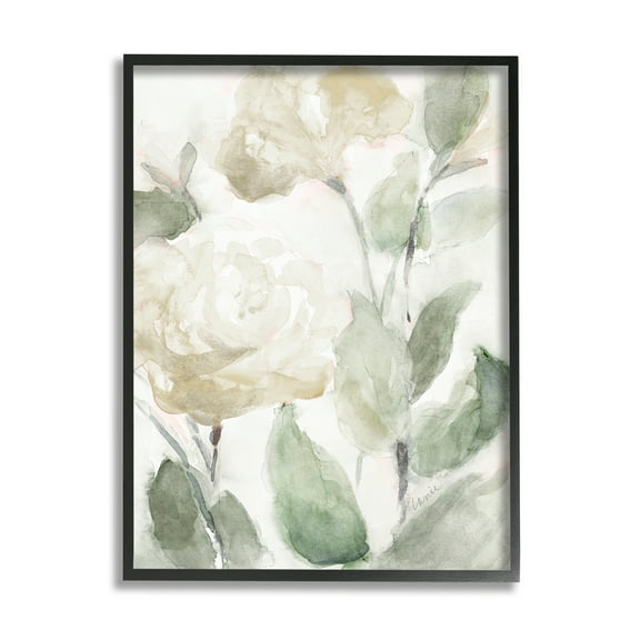 Stupell Industries Soft Edge White Roses Blooming Charming Abstract Florals Botanical & Floral Painting Black Framed Art Print Wall Art, 11 x 14