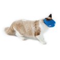 thumbnail image 2 of Muzzle pour Chat Interactif Créatif Maille Respirante Masque pour Visage de Chat, 2 of 10