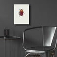 thumbnail image 5 of Epic Art 'Torynorrhina Flammea' by Incado, Acrylic Glass Wall Art, 12"x16", 5 of 8