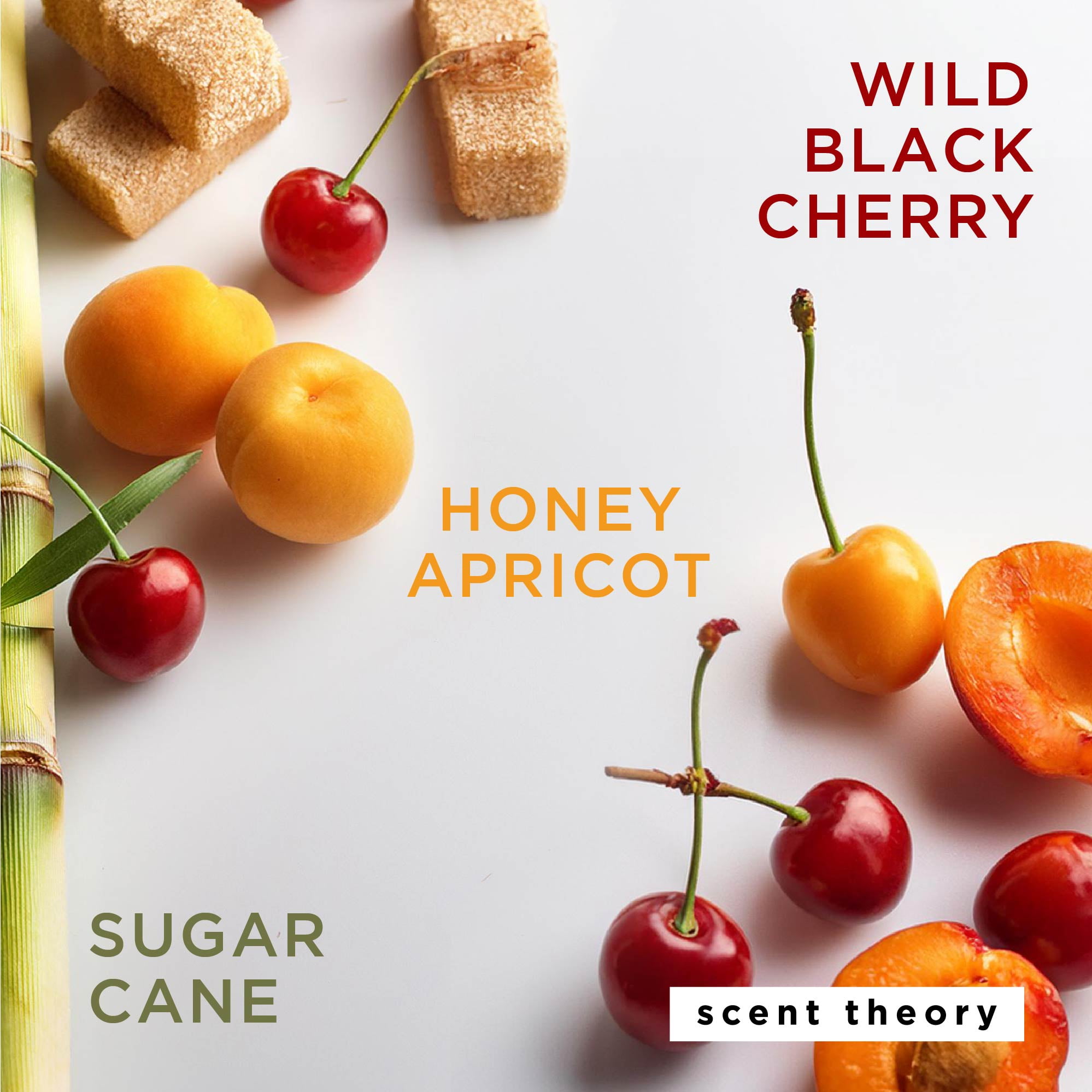 Scent Theory Foaming Hand Soap, Wild Black Cherry, 11 fl oz