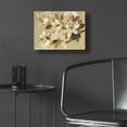 thumbnail image 5 of Epic Art 'Magnolia Simplicity' by Silvia Vassileva, Acrylic Glass Wall Art, 16"x12", 5 of 8