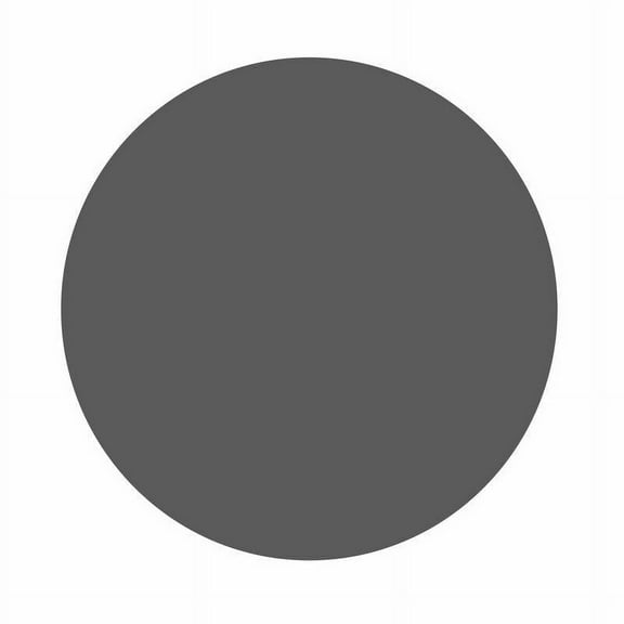 Silhouette Smooth Heat Transfer Vinyl - 12" x 36" Roll - Matte Finish - Charcoal