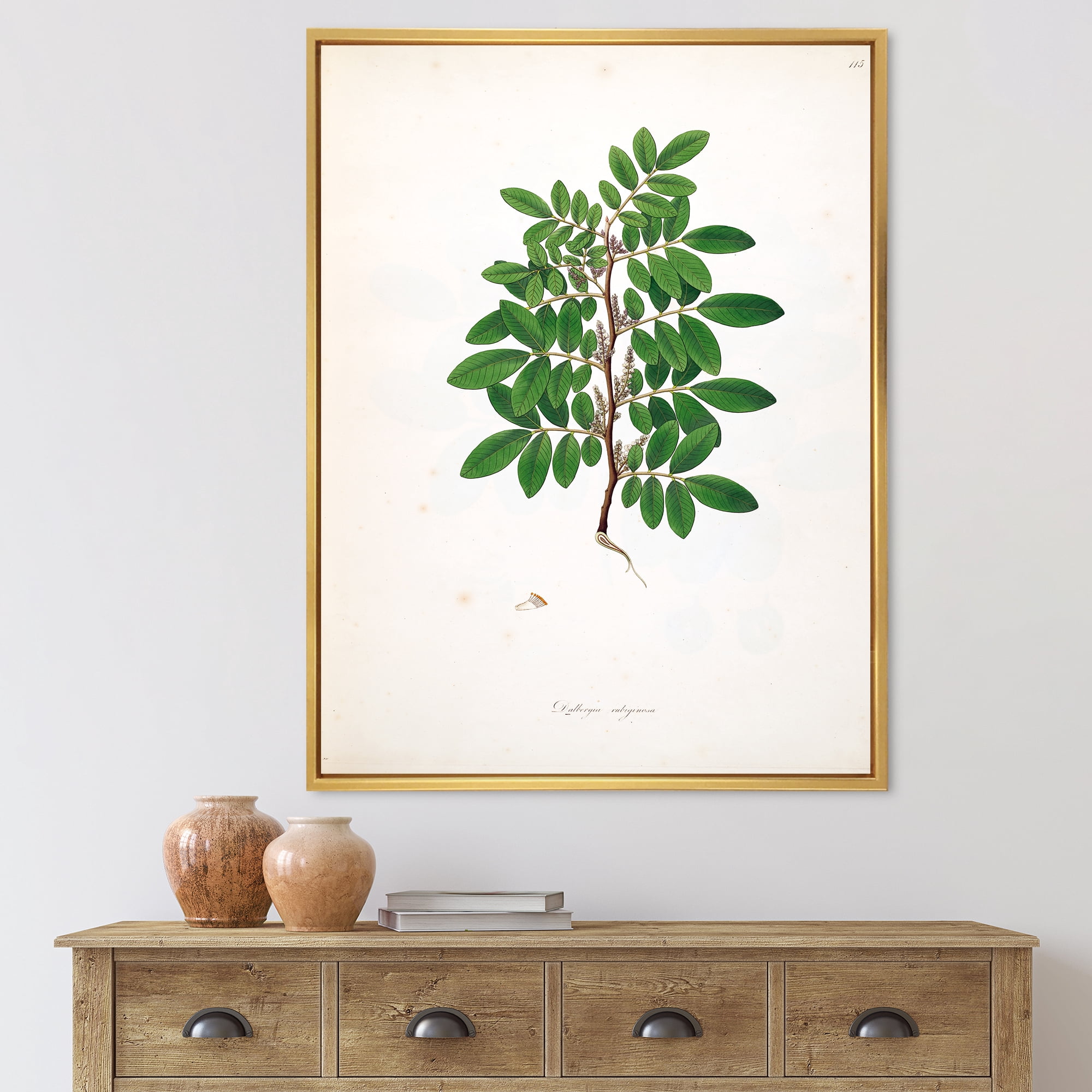 Designart 'Ancient Plant Life XX' Farmhouse Framed Canvas Wall Art Print