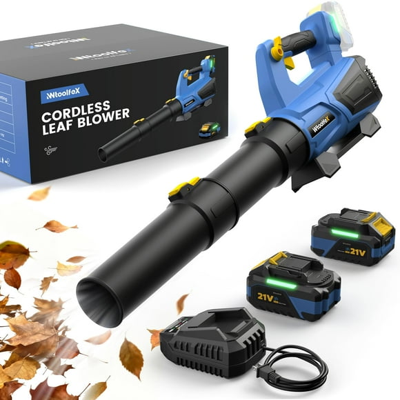 Leaf Blower Cordless with &eth; &eth; &eth;.&eth;&am