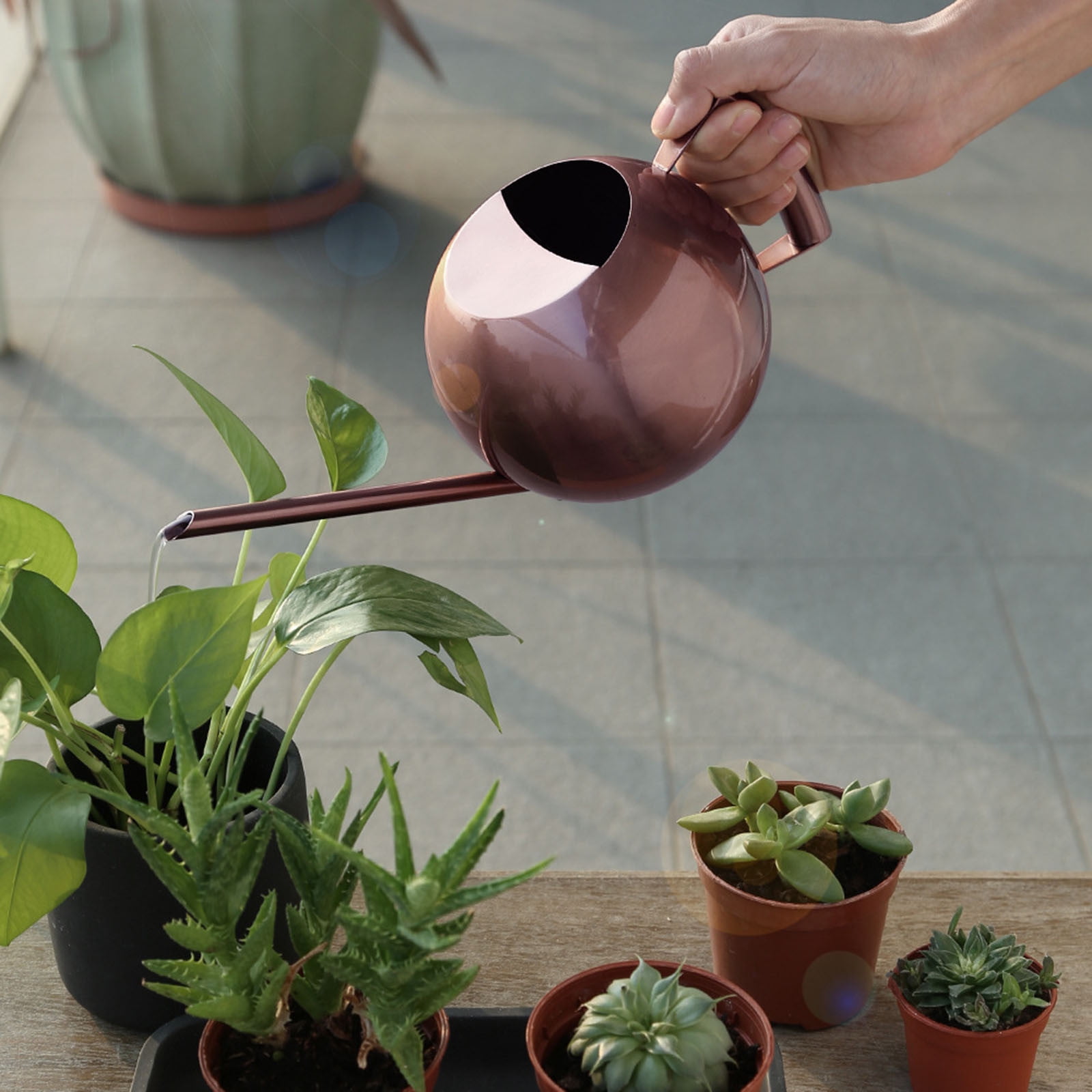 Jubipavy Stainless Steel Watering Can - 1L Metal Watering Can With Long Spout To Spillage Perfect Plant Watering Can For Outdoor And Indoor Plants Gift Home Saving