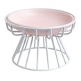 thumbnail image 4 of Cuenco elevado Yinane Comedero para gatos plato de cerámica estante de hierro desmontable, 4 of 8