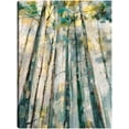 thumbnail image 1 of Cuadro Decorativo - Majestuoso Jr  Impresión en canvas, estrechado., 1 of 2