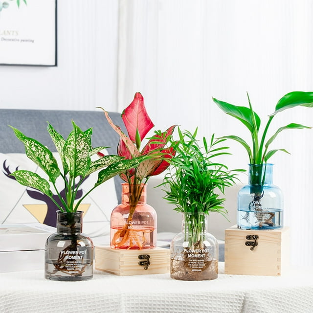 Sentmoon Plastic Vase Transparent Hydroponic Small Potted Plant Pots, Indoor Living Room Desktop Transparent Hydroponic Plastic Flower Pots, A Must For Green Plant Lovers, Transpare