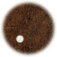 thumbnail image 3 of ⭐ BEST POTTING MIXES - New Zealand Tree Fern - Orchid and Epiphytal Plants Growing Medium and Reptile Substrate by ://N ★ LOVA - (4 Quart Bag), 3 of 6