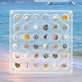thumbnail image 4 of Seashell Display Box Magnetic Seashell Storage Case Clear Acrylic Seashell Organizers 36 Grids/64 Grids/100 Grids Portable Seashell Container for Small Stone Diamond Crystal 12x12cm, 4 of 10