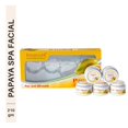 thumbnail image 3 of Aryanveda Papaya Facial Kit (210 gm), 3 of 6