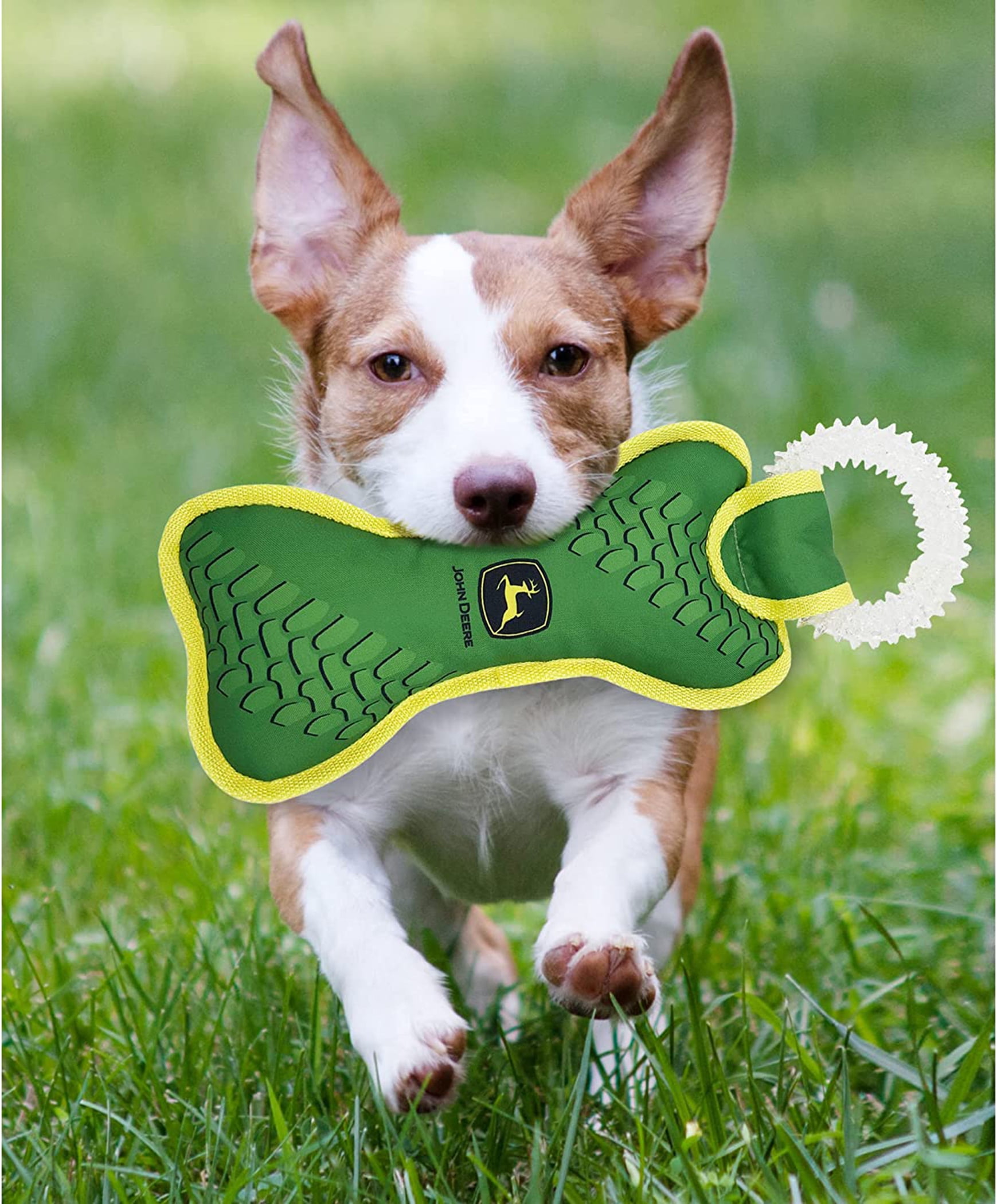 JOHN DEERE DOG DENTAL TEETHING RING TUG TOY & Nylon Squeak Bone Toy