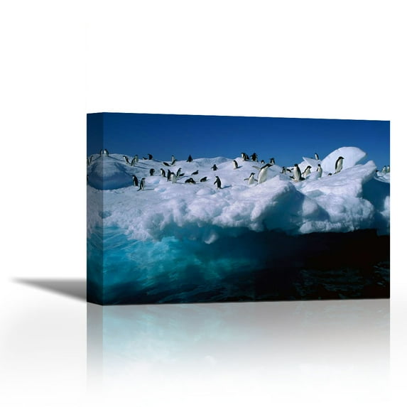 Adelie Penguins on iceberg in Hope Bay, Antarctic Peninsula, Antarctica - Contemporary Fine Art Giclee on Canvas Gallery Wrap - wall décor - Art painting - 36 x 24 Inch - Ready to Hang