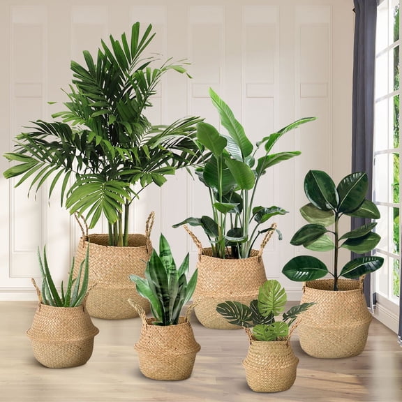 Foldable Woven Seagrass Belly Basket with Handles Indoor Plant Pot Cover-8.66"x7.87"-