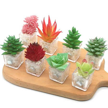 

YMH 3D Fridge Magnets Simulated Lightweight Plastic Simulation Succulent Magnet Fridge Magnets for Home