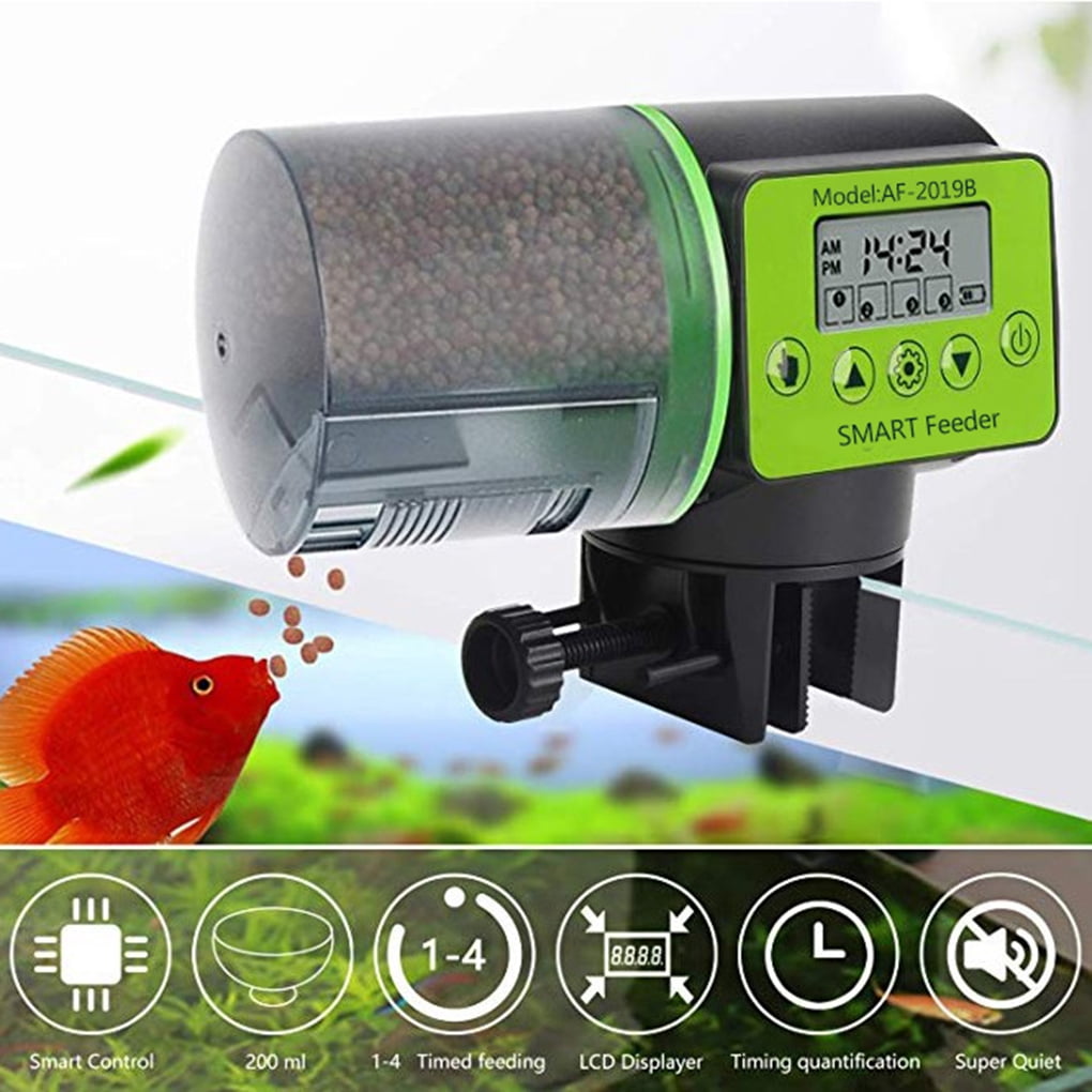 automatic fish feeder canada