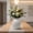 White-4B, variant on MMJ Ceramic Vase Vintage Distressed White Floral Arrangement Container Living Room Home Decor Centerpiece 7.09x6.3x6.3in
